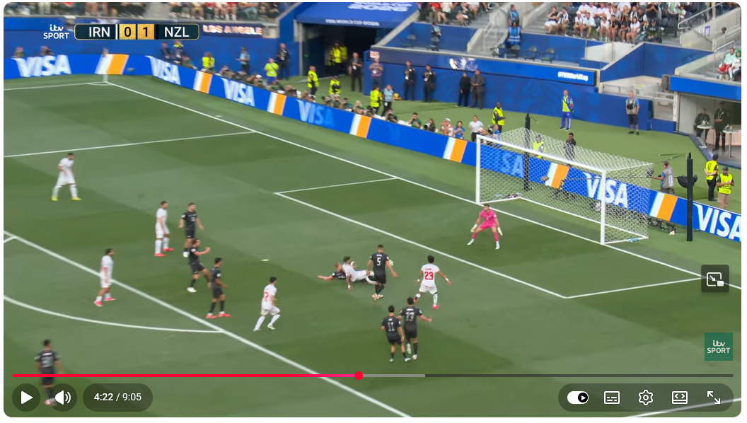 nz1.png